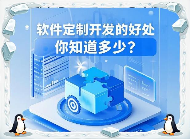 软件定制开发的五大优势,你知道吗?
