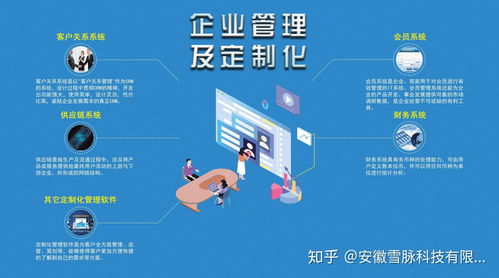 浅谈企业定制化软件发展状况 软件系统定制开发的演进与趋势